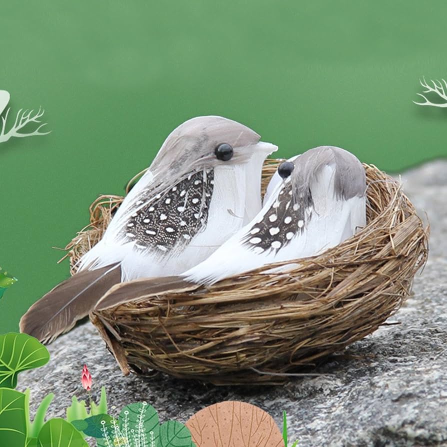 天然野生＊野鳥＊とっても可愛い枝付き【鳥の巣】巣＊小鳥の巣＊ネイティブオブジェ 楽天市場】鳥の巣 オブジェ（エクステリア・ガーデン